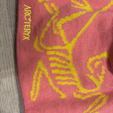 Arc‘teryx beanie