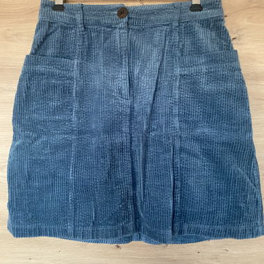 Blue Velvet Skirt