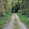 fabianschneider160305@gmail.com