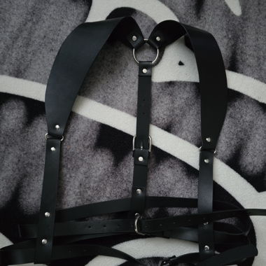 Harness black 