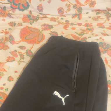 Short Puma