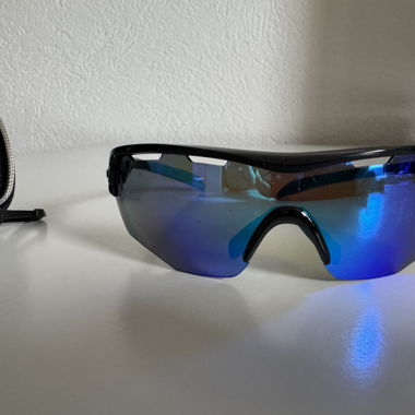 Alpina Sports Glasses