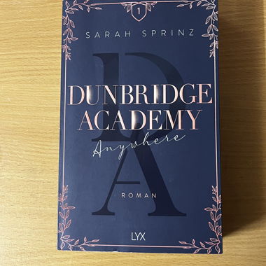 Dunbridge Academy Novel