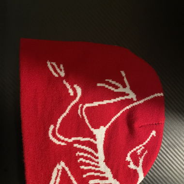 Arcteryx beanie