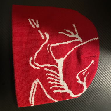 Arcteryx beanie