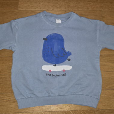 Kinder-Sweatshirt blau
