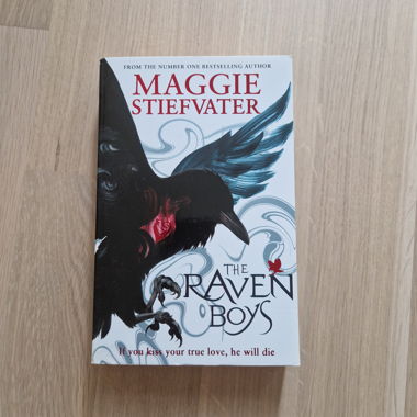 Les garçons de l’Aigle (tome 1) - Maggie Stiefvater
