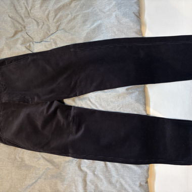 Carhartt Menson Pant