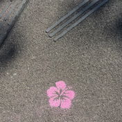 apfelbaum