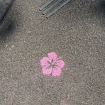 apfelbaum