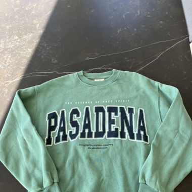 Sweatshirt Turkise