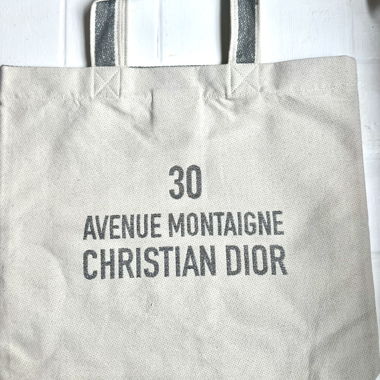 Dior bag lurex embroidery 