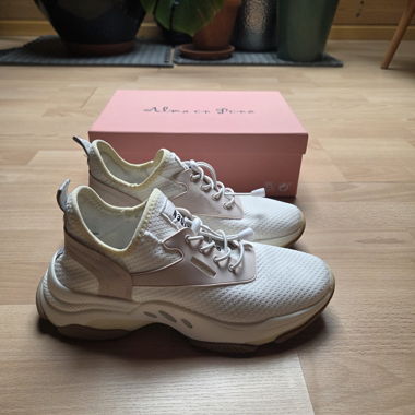 Steve Madden Sneakers