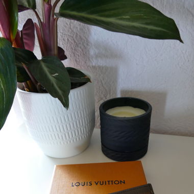 Porte-cartes Louis Vuitton