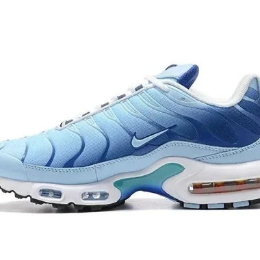 Nike Air Max Plus TN Sneakers