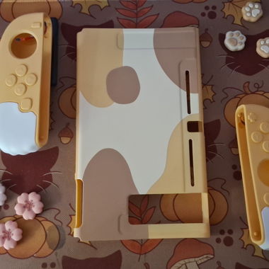 Hülle und Schutzkappen für Switch