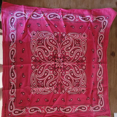 Red Vintage Bandana Scarf