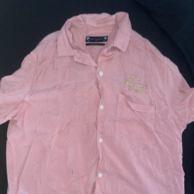 Bluse Allsaints