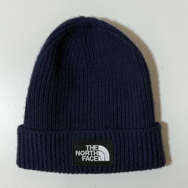 The north face blue beanie 