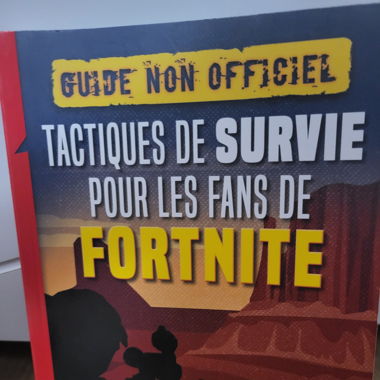 Livre sur fortnite