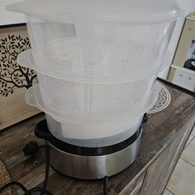 Cuocivapore elettrico
