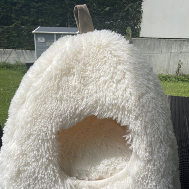 Maison à chat