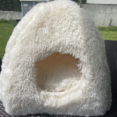 Casetta per gatti