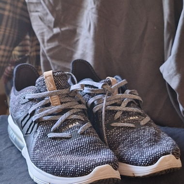 Nike Air Max Sequent 3