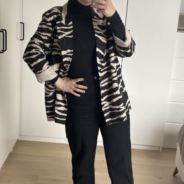 ZEBRA BLAZER H&M