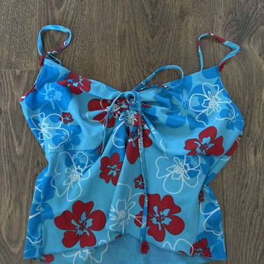 coquette blue crop top