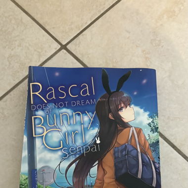 Rascal does not dream of Bunny Girl Senpai