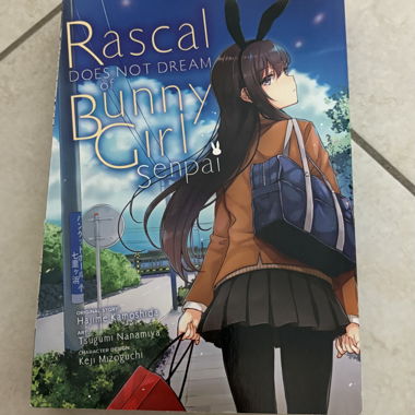 Rascal does not dream of Bunny Girl Senpai