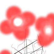 Kurac_Shop