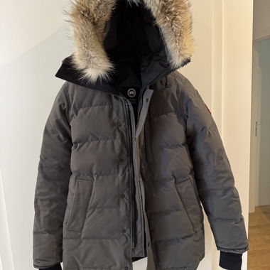 Canada Goose parka gris