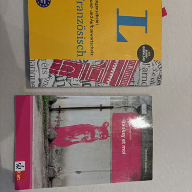 Französisch Buch und Wörterbuch