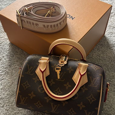 Louis Vuitton Speedy 20 Handbag 2025