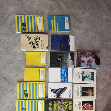 Deutsche und englische Literaturbücher 