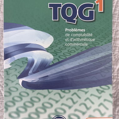 Quantitative Techniken der Unternehmensführung . Band I