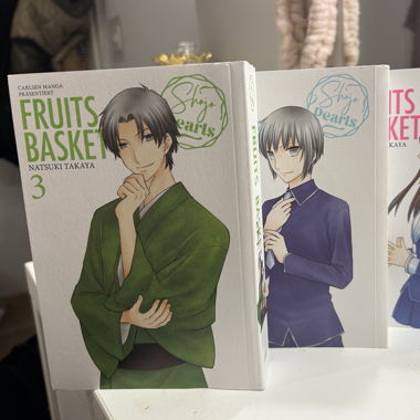 Fruits Basket Manga Volume 1-3