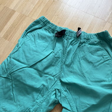 Carhartt Shorts in Turqoise