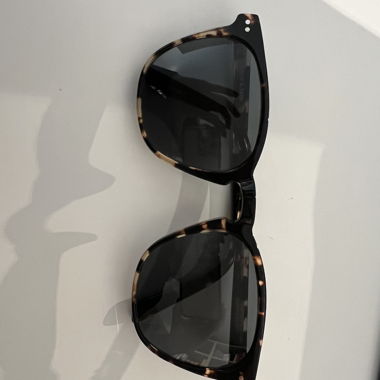 Sunglasses (ace&tate)