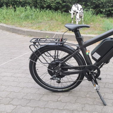Grace One NEUAUFBAU E-Bike Pedelec 