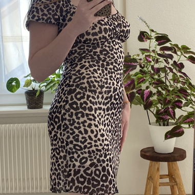 Topshop Leopard Print Dress 