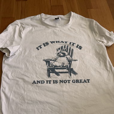 T-Shirt 'It is what it is and it is not great'