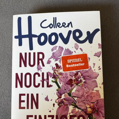 It ends with us (auf deutsch)