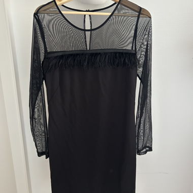 Black Mesh Dress with Feathers