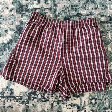 Hollister shorts