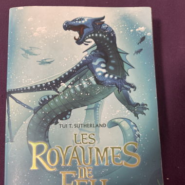 Les royaumes des feu-livre