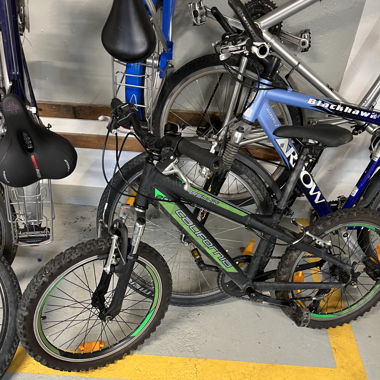 California Junior Velo