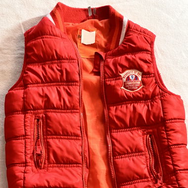 Orange Vest